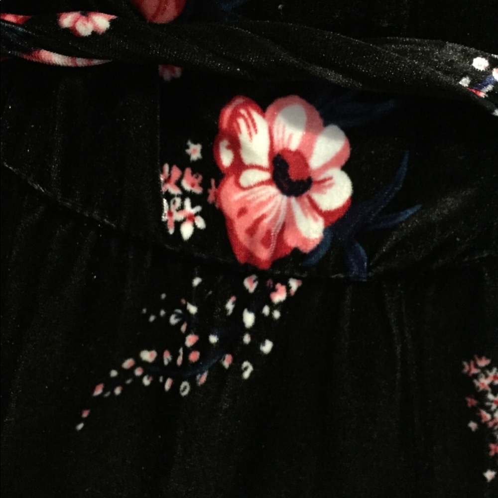 H&M NWT VELVET ROSE DRESS SOLD - Picture 6 of 7